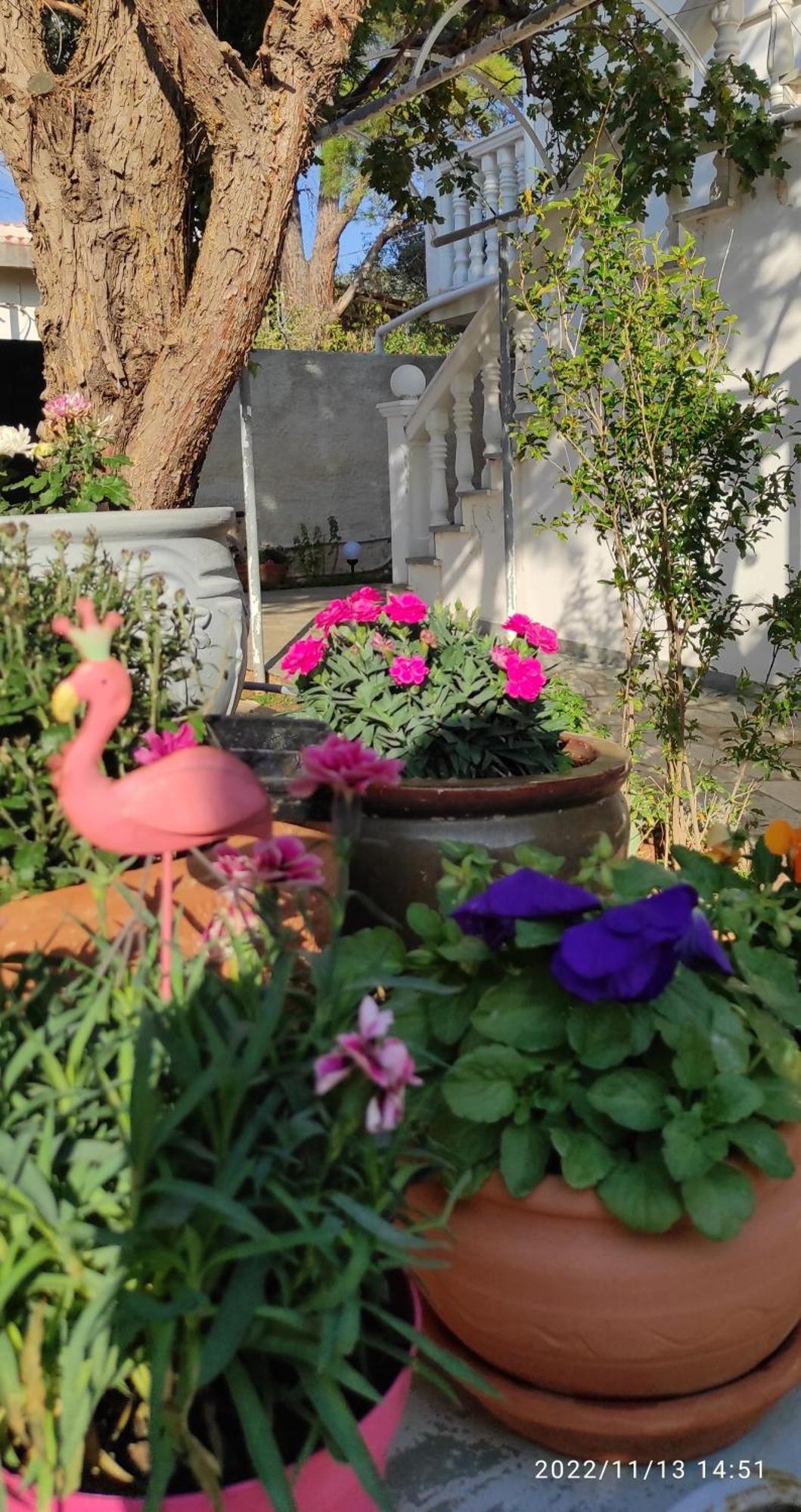 Secret Garden Home Lagonissi Attiki Melissourgoú Exterior foto